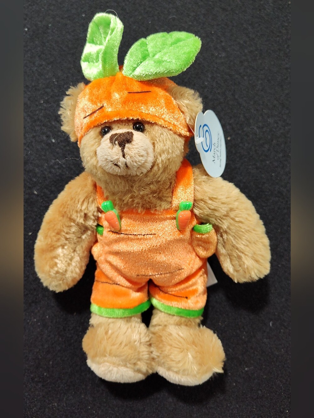 Plushland March of Dimes Bear Plush Carrot Outfit Bunny in Back Pocket 9", 2006